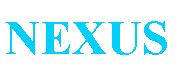 Nexus - Codesi Consulting